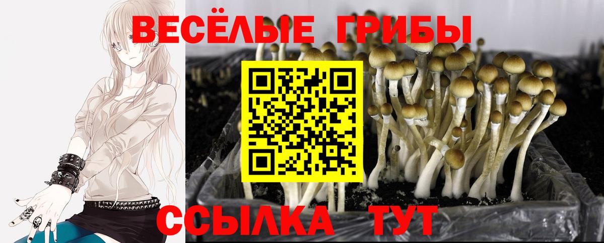 Галлюциногенные грибы ЛСД  Галлюциногенные грибы GOLDEN TEACHER  Феодосия  Вход с VPN 